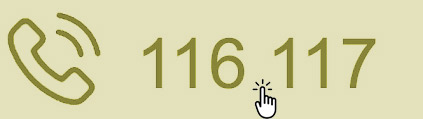 116117